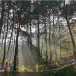 5 tempat camping di kota Bekasi kreatif