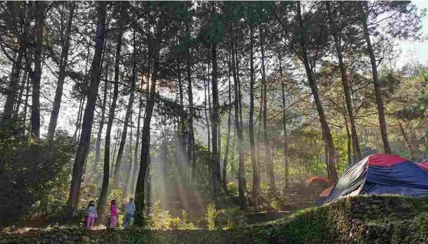 5 tempat camping di kota Bekasi kreatif